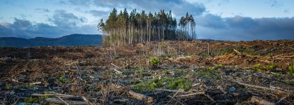 La ONU cifra en el 40% la población vulnerable al cambio climático