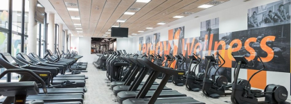 Enjoy Wellness supera expectativas y cierra 2024 con ingresos de 33,6 millones